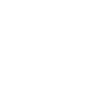 KPMG Logo
