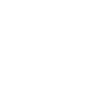 Volksbank Logo