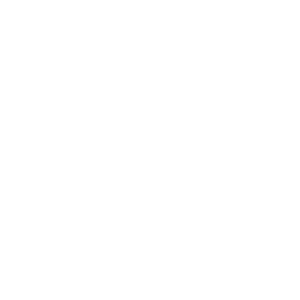 BG Schussel Logo