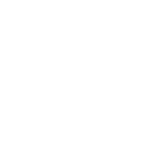 Chemische Fabrik Budenheim Logo