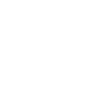 DSC Logo
