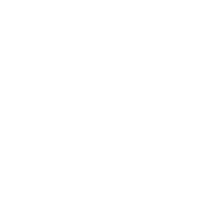 Dachser Logo