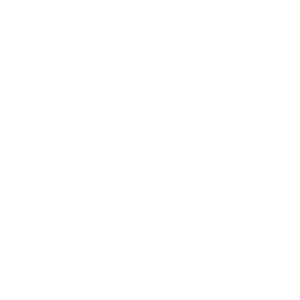 Pirelli Logo