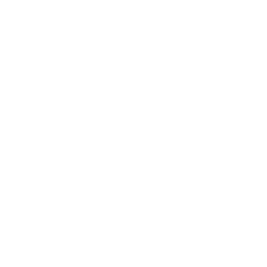 Seat Logo