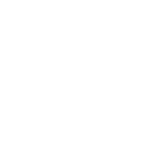 Telekom Logo