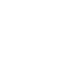Union Investment Logo