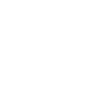 Velux Logo