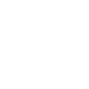 Wella Logo