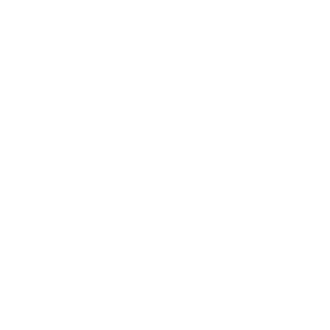 ZDF Logo