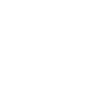 Akzonobel Logo
