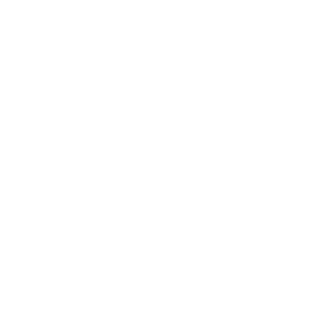 American Express Logo