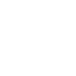 dbv Logo