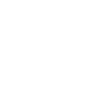 easySoft Logo