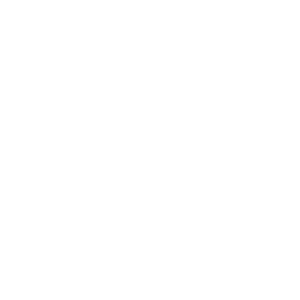 Goodyear dunlop logo