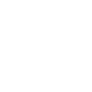 FERI Logo