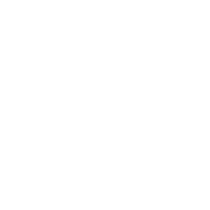 BASF Logo