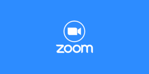 Zoom Logo