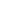 KIA_LOGO-weis-300x300-1.png